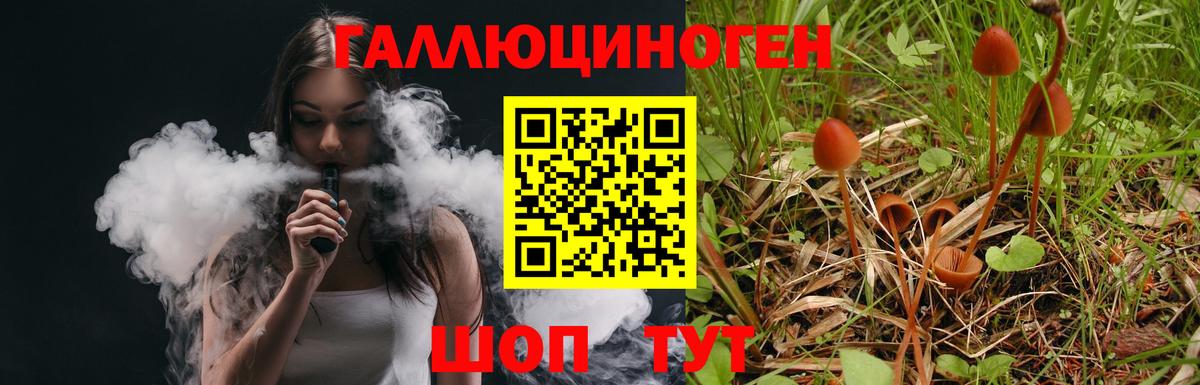Котовск  Галлюциногенные грибы Magic Shrooms  Псилоцибиновые грибы Magic Shrooms  Вход с VPN 