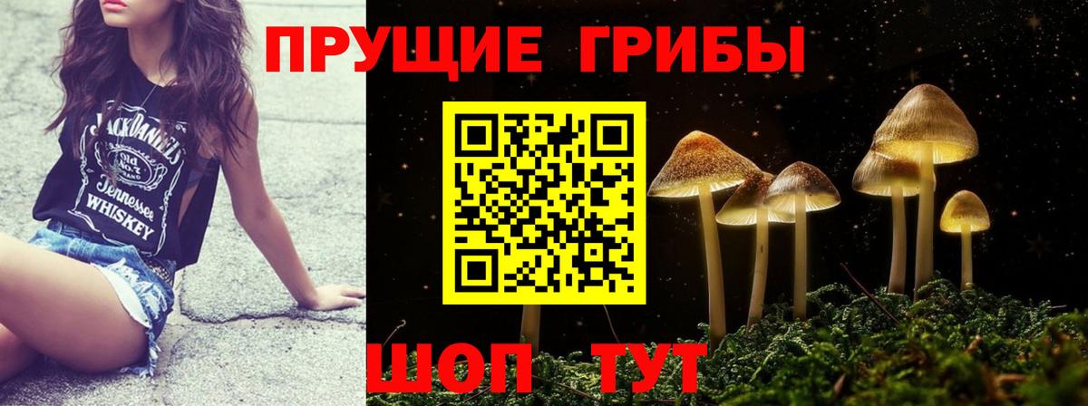 Псилоцибиновые грибы GOLDEN TEACHER Котовск